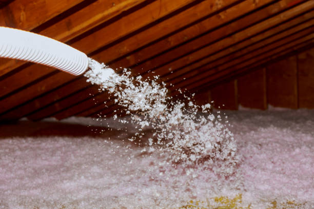 Best Specialty Insulation in Maple Lake, MN
