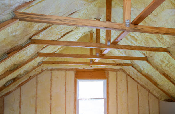 Best Residential Insulation in Maple Lake, MN