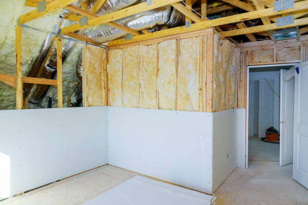 Best Energy Efficiency Solutions in Maple Lake, MN