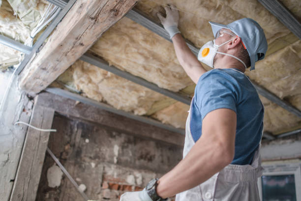 Best Specialty Insulation in Maple Lake, MN
