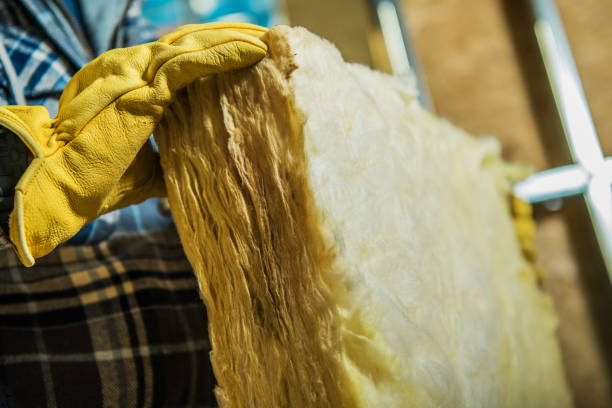 Best Insulation Materials and Products in Maple Lake, MN