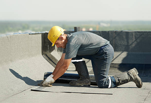 Best Insulation Maintenance and Repair in Maple Lake, MN