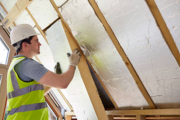 Best Commercial Insulation in Maple Lake, MN