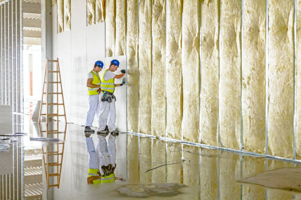 Best Insulation Installation Services in Maple Lake, MN